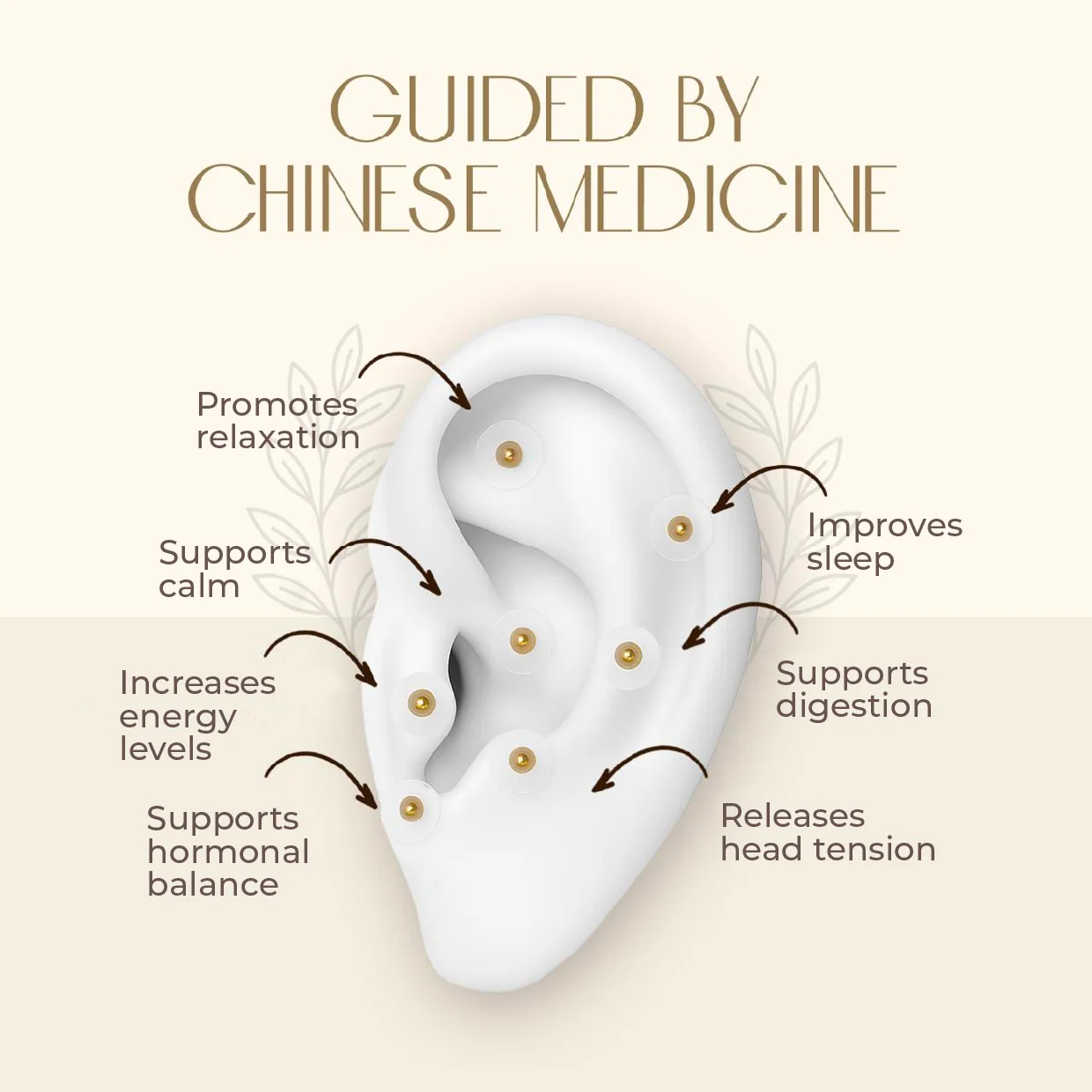 Acu Seeds Ear Seed Kit - Image 3